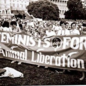Vers un féminisme antispéciste Vers un féminisme antispéciste
